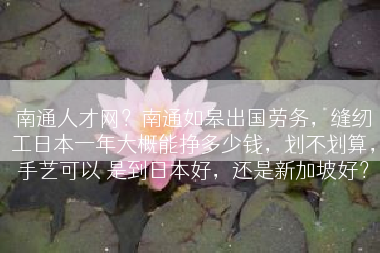南通人才网？南通如皋出国劳务，缝纫工日本一年大概能挣多少钱，划不划算，手艺可以 是到日本好，还是新加坡好？