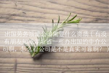 出国劳务派遣公司需要什么资质（有没有朋友知道湖北省一些办出国的中介公司啊，怎么看公司是不是真实可靠啊？）