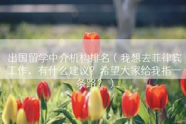 出国留学中介机构排名（我想去菲律宾工作，有什么建议？希望大家给我指一条路？）