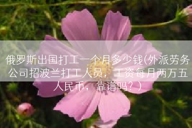 俄罗斯出国打工一个月多少钱(外派劳务公司招波兰打工人员，工资每月两万五人民币，靠谱吗？)