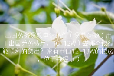 出国劳务贷款申请条件（贷款问题（用于出国劳务费用，10-12W）去哪个银行能顺利的贷出？家有市值12-13W的楼房，位于县级市）