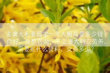 去澳大利亚留学一年大概需要多少钱？你好，我想咨询一下去澳大利亚劳务，需要些什么资料，交费多少？