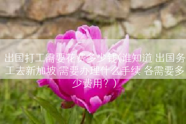 出国打工需要花费多少钱(谁知道 出国务工去新加坡 需要办理什么手续 各需要多少费用？)