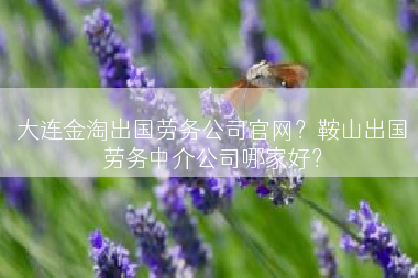 大连金淘出国劳务公司官网？鞍山出国劳务中介公司哪家好？