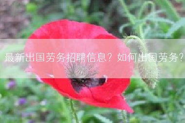 最新出国劳务招聘信息？如何出国劳务？