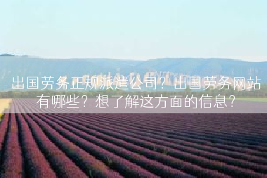 出国劳务正规派遣公司？出国劳务网站有哪些？想了解这方面的信息？