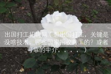 出国打工招聘网（想出国打工，关键是没啥技术，哪些国家招收普工的？或者可靠的中介，，，，）