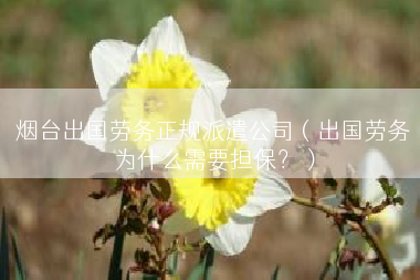 烟台出国劳务正规派遣公司（出国劳务为什么需要担保？）
