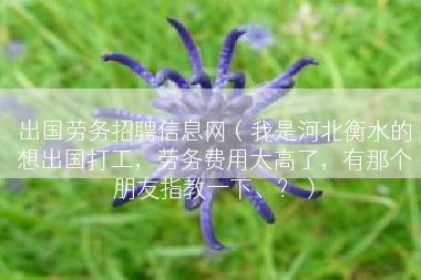 出国劳务招聘信息网（我是河北衡水的想出国打工，劳务费用太高了，有那个朋友指教一下、？）