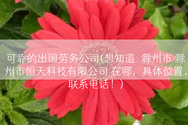 可靠的出国劳务公司(想知道: 滁州市 滁州市恒天科技有限公司 在哪，具体位置，联系电话！)