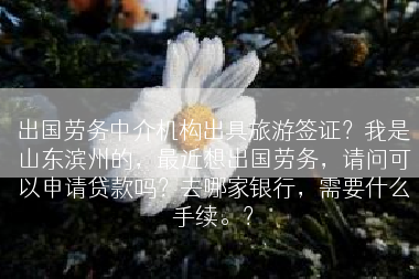 出国劳务中介机构出具旅游签证？我是山东滨州的，最近想出国劳务，请问可以申请贷款吗？去哪家银行，需要什么手续。？