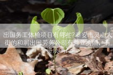 出国务工体检项目有哪些?泰安市灵山大街的和润出国劳务公司有营业执照，有资质吗?