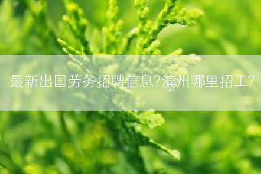 最新出国劳务招聘信息?滨州哪里招工?