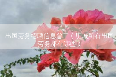 出国劳务招聘信息普工（肥城所有出国劳务都有哪些）