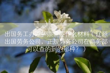 出国务工办理护照需要什么材料（辽源出国劳务公司，正规劳务公司在商务部可以查的到的那种？）