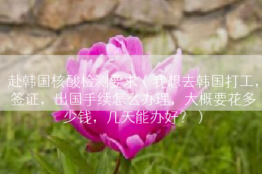 赴韩国核酸检测要求（我想去韩国打工，签证，出国手续怎么办理，大概要花多少钱，几天能办好？）