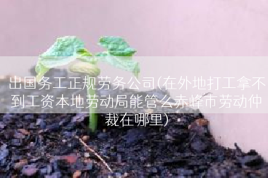 出国务工正规劳务公司(在外地打工拿不到工资本地劳动局能管么赤峰市劳动仲裁在哪里)