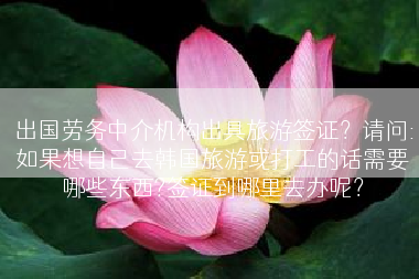 出国劳务中介机构出具旅游签证？请问:如果想自己去韩国旅游或打工的话需要哪些东西?签证到哪里去办呢？