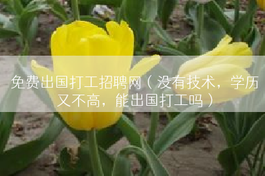 免费出国打工招聘网（没有技术，学历又不高，能出国打工吗）