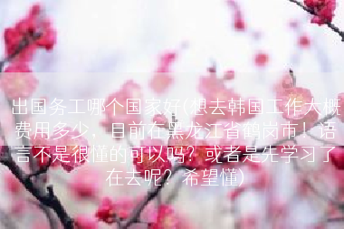 出国务工哪个国家好(想去韩国工作大概费用多少，目前在黑龙江省鹤岗市！语言不是很懂的可以吗？或者是先学习了在去呢？希望懂)
