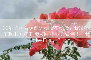 30岁的体育保健运动樱花动漫？我30岁了想出国打工,我初中毕业会做制衣，我想去日本，？