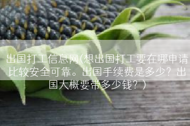 出国打工信息网(想出国打工要在哪申请比较安全可靠。出国手续费是多少？出国大概要带多少钱？)
