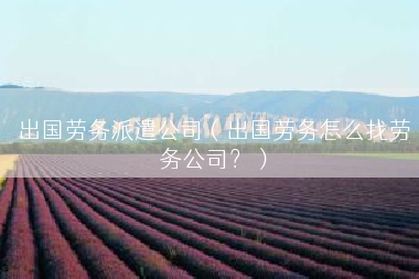 出国劳务派遣公司（出国劳务怎么找劳务公司？）