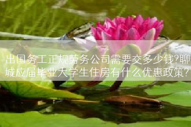 出国务工正规劳务公司需要交多少钱?聊城应届毕业大学生住房有什么优惠政策?