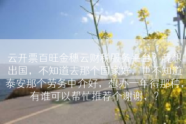 云开票百旺金穗云财税服务平台？我想出国，不知道去那个国家好，也不知道泰安那个劳务中介好，想办一年得那种，有谁可以帮忙推荐个谢谢，？