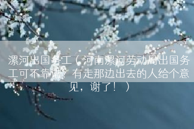 漯河出国务工（河南漯河劳动局出国务工可不靠谱？有走那边出去的人给个意见，谢了！）