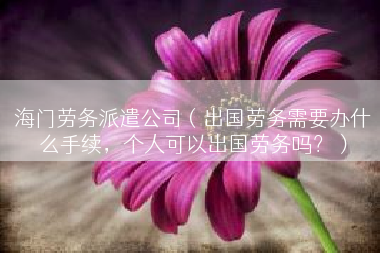海门劳务派遣公司（出国劳务需要办什么手续，个人可以出国劳务吗？）