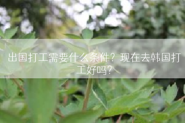 出国打工需要什么条件？现在去韩国打工好吗？