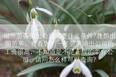 国外劳务输出公司需要什么条件?我想出国劳务，我看到的一些劳务输出公司的工资很高，不知道是不是正规的中介公司，请问怎么样可以查询?
