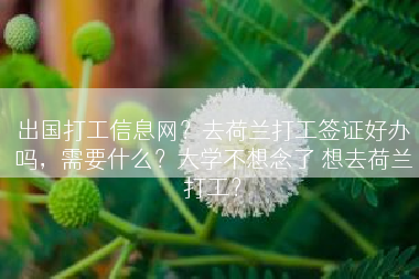 出国打工信息网？去荷兰打工签证好办吗，需要什么？大学不想念了 想去荷兰打工？
