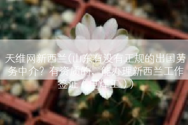 天维网新西兰(山东有没有正规的出国劳务中介？有资质的，能办理新西兰工作签证（电焊工）)