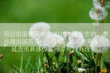因公出国费用标准2019（延吉市的，想办理出国劳务---韩国，请问费用多少？延吉市具体位置哪里可以办理？）