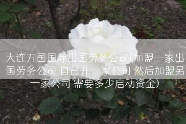 大连万国国际出国劳务公司(加盟一家出国劳务公司 自己开一家公司 然后加盟另一家公司 需要多少启动资金)