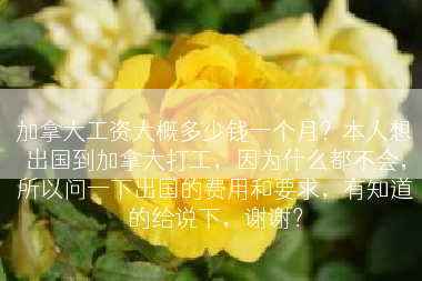 加拿大工资大概多少钱一个月？本人想出国到加拿大打工，因为什么都不会，所以问一下出国的费用和要求，有知道的给说下，谢谢？