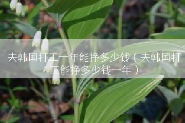 去韩国打工一年能挣多少钱（去韩国打工能挣多少钱一年）