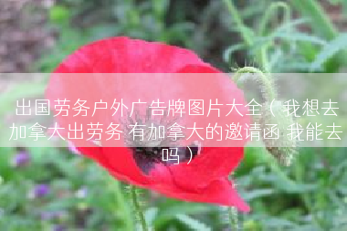出国劳务户外广告牌图片大全（我想去加拿大出劳务 有加拿大的邀请函 我能去吗）
