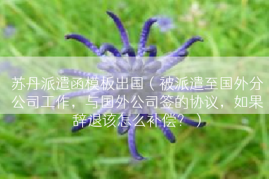 苏丹派遣函模板出国（被派遣至国外分公司工作，与国外公司签的协议，如果辞退该怎么补偿？）