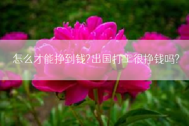 怎么才能挣到钱?出国打工很挣钱吗?