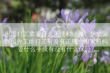 出国打工需要什么手续和证件？想出国到国外工地打工有没有正规的国家机构要什么手续有没有什么保障？