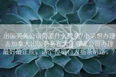 出国劳务公司需要什么资质?小弟想办理去加拿大出国劳务在大连哪家公司办理最好最正规。请个位明白人指条明路。?