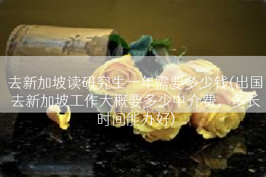 去新加坡读研究生一年需要多少钱(出国去新加坡工作大概要多少中介费，多长时间能办好)