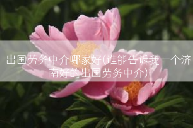 出国劳务中介哪家好(谁能告诉我一个济南好的出国劳务中介)