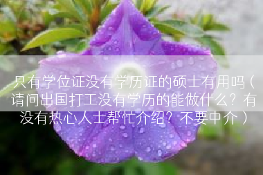 只有学位证没有学历证的硕士有用吗（请问出国打工没有学历的能做什么？有没有热心人士帮忙介绍？不要中介）