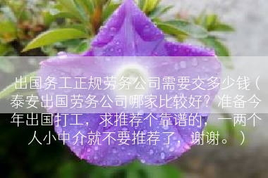 出国务工正规劳务公司需要交多少钱（泰安出国劳务公司哪家比较好？准备今年出国打工，求推荐个靠谱的，一两个人小中介就不要推荐了，谢谢。）