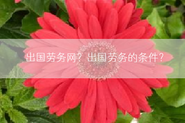 出国劳务网？出国劳务的条件？