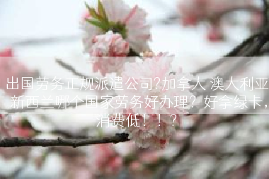 出国劳务正规派遣公司?加拿大 澳大利亚 新西兰哪个国家劳务好办理？好拿绿卡，消费低！！?